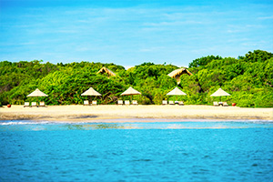 Jungle-Beach-3